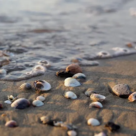 Relaxing Getaway By The Coast *