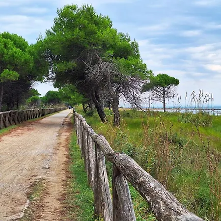 Relaxing Getaway By The Coast *